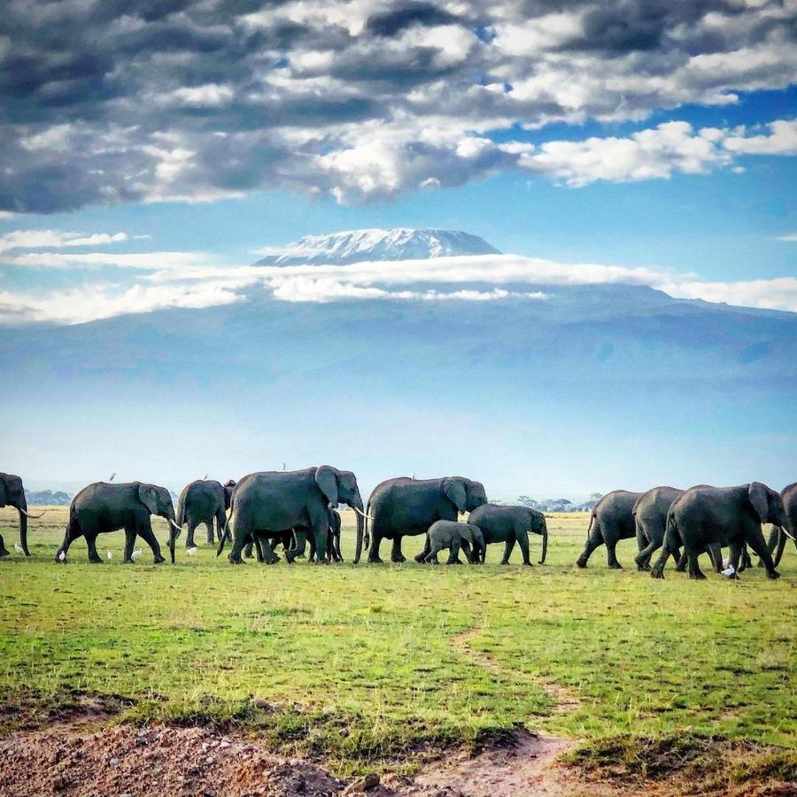 Hotel Amboseli Cultural Camping Exterior foto